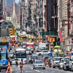 Humans are the Noisy Animal