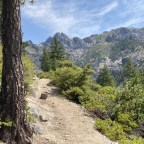 A Lesson in Time from Brother Bear